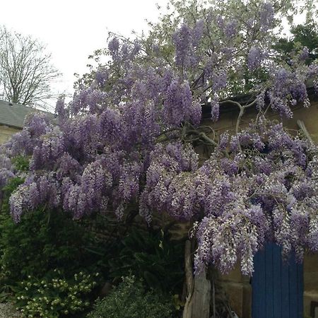 Blainville-sur-Orne Pegasus Bed & Breakfast エクステリア 写真